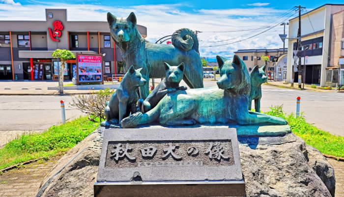 秋田県で空き家の売却や買取に強い不動産会社を探す